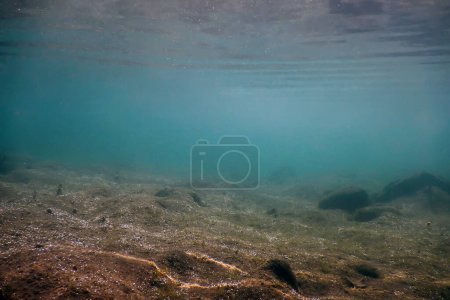 Unterwasserfelsen des Gebirgsflusses auf einem flachen Flussbett mit klarem Wasser