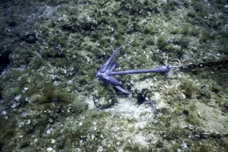 Anchor Lying on the Seabed Underwater