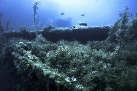 Naufrage dans l'eau bleue, Naufrage rouillé avec des coraux en croissance, Sous-marin