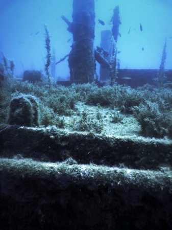 Schiffbruch im blauen Wasser, rostiges Schiffswrack mit wachsenden Korallen, Unterwasser