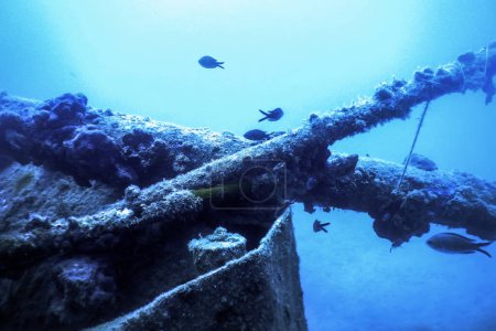 Shipwreck in the Blue Water, Rusty Shipwreck with Growing Corals, Underwater