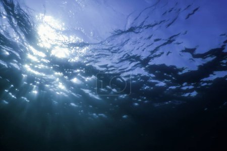 Vue sous-marine de la surface de la mer
