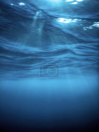 Underwater View of the Sea Surface