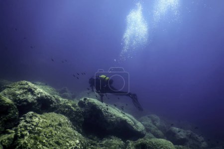 Plongée sous-marine Sea Bottom, Plongée explorant