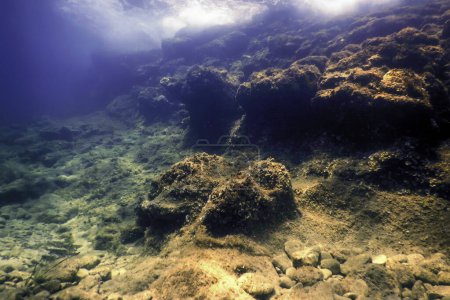 Rochers au fond de l'océan, Vie sous-marine