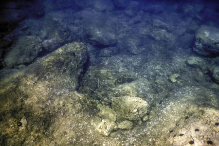 Felsen am Grund des Meeresbodens, Unterwasserwelt