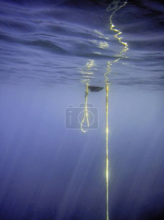 Boat Anchor Buoy Underwater View, Blue Wate