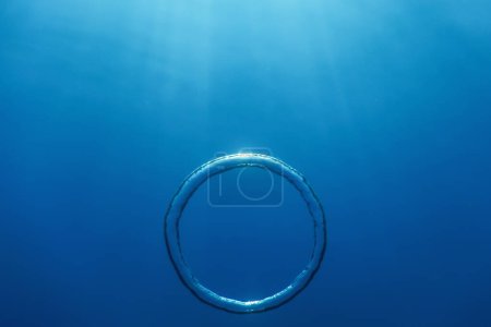 Underwater Bubble Ring Ascends towards the Sun