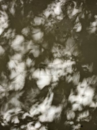 Foto de Sombras de árboles en las viejas paredes - Imagen libre de derechos