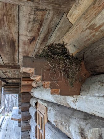 Téléchargez les photos : The open-air museum of traditional wooden architecture in the national park in Ukraine, nest view on the wooden house porch - en image libre de droit