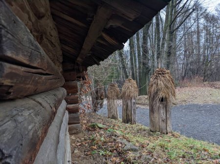 Téléchargez les photos : The open-air museum of traditional wooden architecture in the national park in Ukraine, old beehive view - en image libre de droit