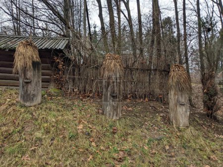 Téléchargez les photos : The open-air museum of traditional wooden architecture in the national park in Ukraine, old beehive view - en image libre de droit