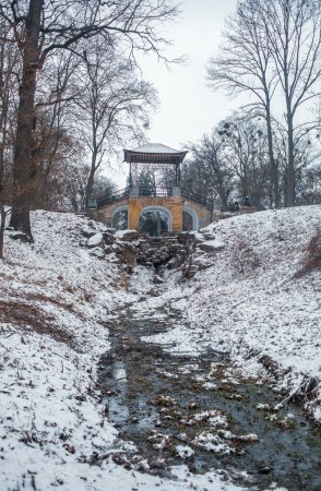 Téléchargez les photos : Vue du pont décoratif sur un ruisseau dans le parc en hiver - en image libre de droit