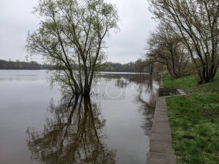 Foto de Parque de la ciudad inundado de agua después de desbordamiento del río - Imagen libre de derechos