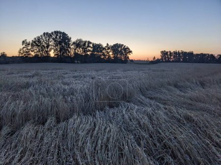Téléchargez les photos : Une belle vue sur un champ de la campagne au coucher du soleil - en image libre de droit