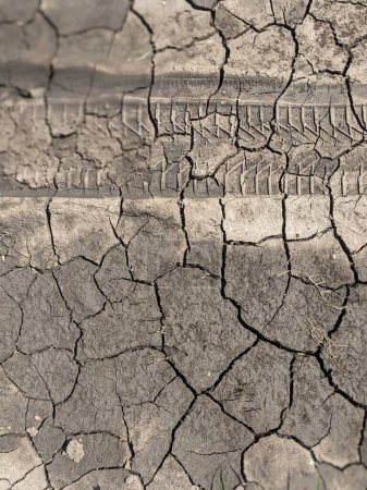 Téléchargez les photos : Terre fissurée sèche dans un désert - en image libre de droit