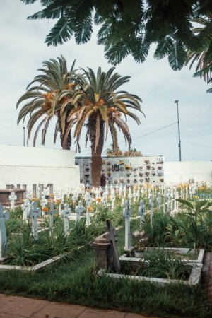 Foto de Cementerio con flores y plantas - Imagen libre de derechos