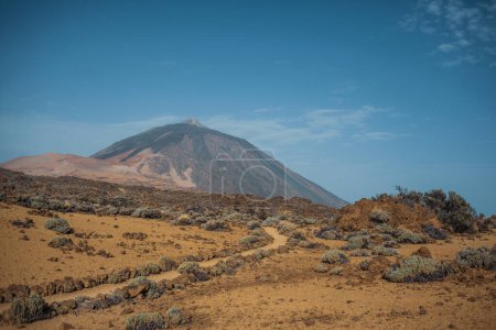 Photo for Volcanic landscape with a mountain in the background. canary island teide in spain - Royalty Free Image