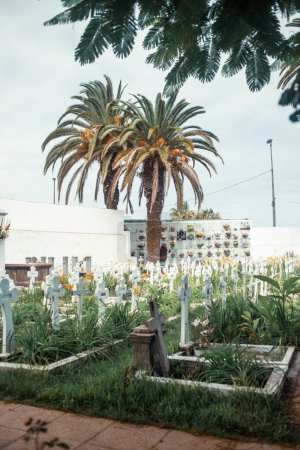 Téléchargez les photos : Vieux cimetière dans la ville méditerranéenne - en image libre de droit