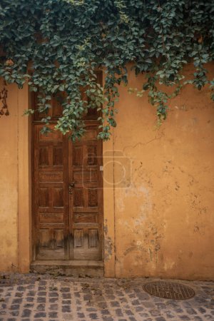 Téléchargez les photos : Feuilles vertes sur vieille maison - en image libre de droit