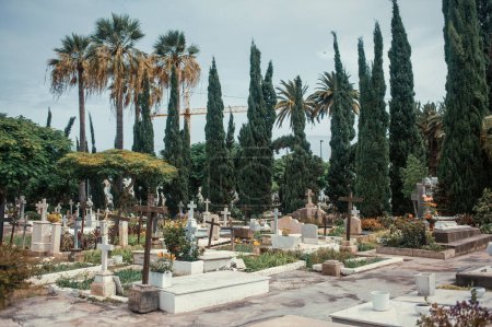 Photo for Old cemetery in mediterranean city - Royalty Free Image
