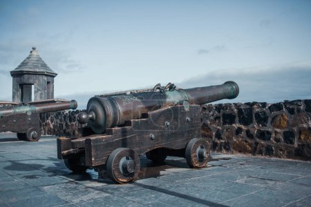 alte Kanonen auf der Festung Chotyn am Ufer des Dnjestr, Chotyn, Ukraine, Europa 