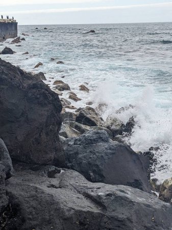 Téléchargez les photos : Un plan vertical d'un beau paysage marin avec des rochers - en image libre de droit