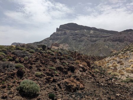 Téléchargez les photos : Paysage volcanique de Tenerife, les îles Canaries, Espagne - en image libre de droit