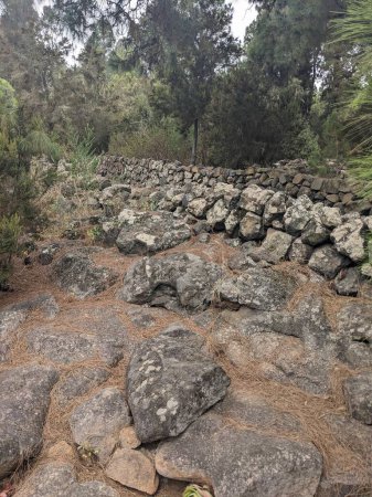 Foto de Vista de piedras en el parque - Imagen libre de derechos