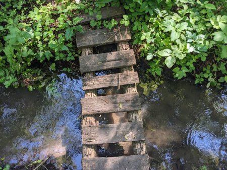 Téléchargez les photos : Pont en bois sur la rivière dans la forêt - en image libre de droit