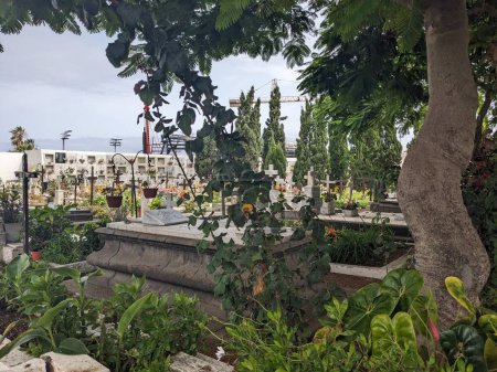 Foto de Cementerio del Puerto de la Cruz, Tenerife, Islas Canarias, España, Europa - Imagen libre de derechos