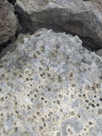 Téléchargez les photos : Gros plan des rochers sur la plage - en image libre de droit
