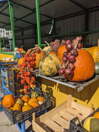 Foto de Calabazas de otoño en el puesto en el mercado - Imagen libre de derechos
