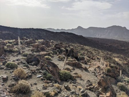 Foto de Paisaje rocoso volcánico de Tenerife, Islas Canarias, España - Imagen libre de derechos