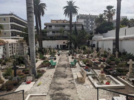 Foto de Cementerio del Puerto de la Cruz, Tenerife, Islas Canarias, España, Europa - Imagen libre de derechos