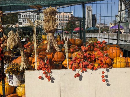 Foto de Calabazas de otoño en el puesto en el mercado - Imagen libre de derechos