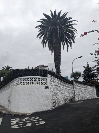 Photo for View of city street of Puerto de la Cruz, Tenerife, the Canary Island, Spain, Europe - Royalty Free Image