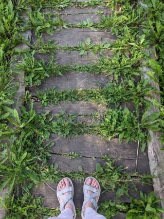 Photo for Female feet on the wooden steps on the ground in the forest - Royalty Free Image