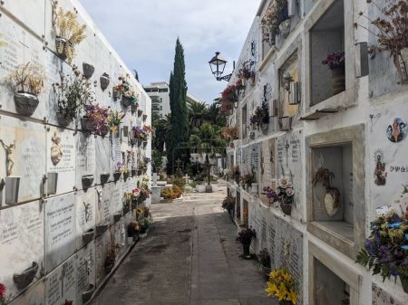 Photo for Puerto de la Cruz cemetery, Tenerife, the Canary Island, Spain, Europe - Royalty Free Image