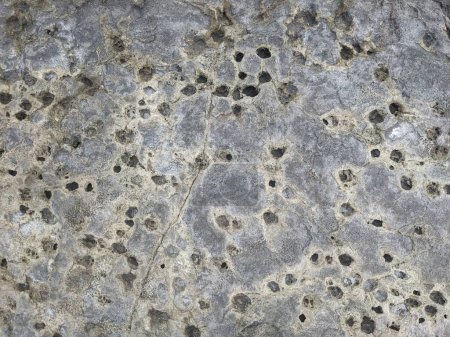 Foto de Textura fondo piedra granito - Imagen libre de derechos