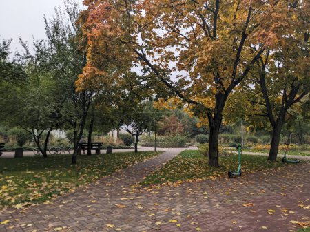 Foto de Parque de otoño con árboles y hojas de colores - Imagen libre de derechos