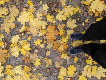 Photo for Man legs in the sneakers standing on a leaf covered ground - Royalty Free Image