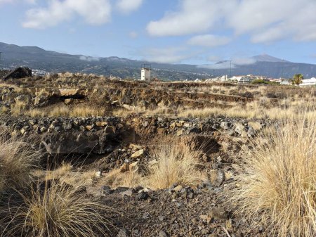 Photo for Volcanic rock landscape of Tenerife, the Canary Island, Spain - Royalty Free Image