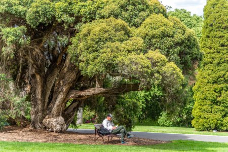 Foto de Melbourne, Victoria / Australia - 11 / 06 / 2019 Personas disfrutando de los relajantes alrededores de la naturaleza en los Jardines Botánicos de Melbourne - Imagen libre de derechos