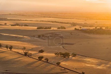 Photo for Aerial view of the Canola and wheat fields in Northam WA - Royalty Free Image