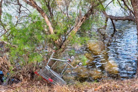 Photo for Northam, WA - Australia 11-14-2020 Shopping trolley that was discarded on the banks of the Avon river. - Royalty Free Image