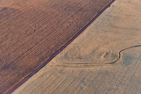 Photo for Aerial view of the Canola and wheat fields in Northam WA - Royalty Free Image