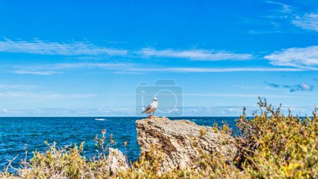 Photo for Rocky limestone formations on the coast and beaches of Point Peron Rockingham - Royalty Free Image