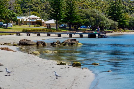 Photo for Augusta's Jetty is the 'Old Town Jetty'. It is a popular point for launching kayaks and canoes, and also a great spot to sit and enjoy a bit of fishing or a picnic under the Peppermint tree. - Royalty Free Image