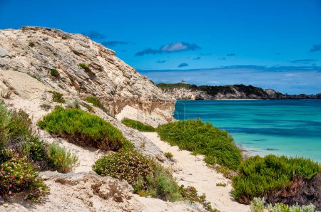 Téléchargez les photos : Augusta, WA - Australie 12-10-2022 Hamelin Bay, une vaste étendue de sable blanc brillant, des eaux turquoises remplies de vie marine et des promenades spectaculaires sur les falaises côtières. - en image libre de droit
